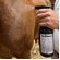 Kit Organew Vetnil 1kg + Desembaraçador For Horse 500ml