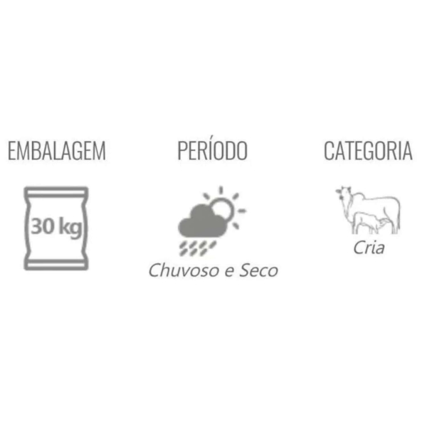 Kit Sal Branco 25KG + Sal Mineral Matsuda Reprodução Bovinos