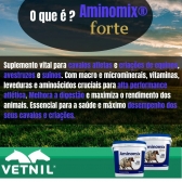 Aminomix Forte Vetnil 2,5kg + Biscoito Petisco Supra Benefit
