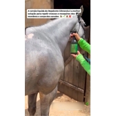 Kit Repelente Natural Contra Moscas For Horse 500ml E 5 L