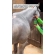 Kit Repelente Natural Contra Moscas For Horse 500ml E 5 L
