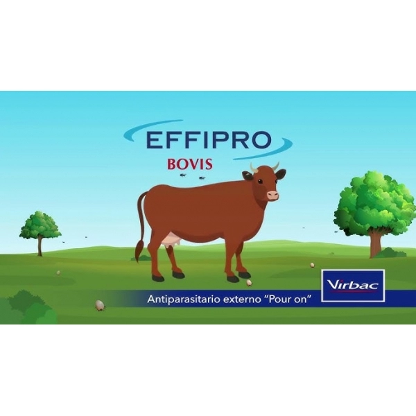 Effipro Bovis 1 L