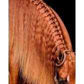 Elástico para Crina e Rabo de Cavalo For Horse 400 Un