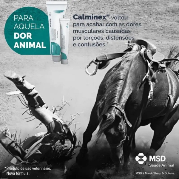 Calminex 30g Pomada Anti-inflamatória Dores Musculares Msd