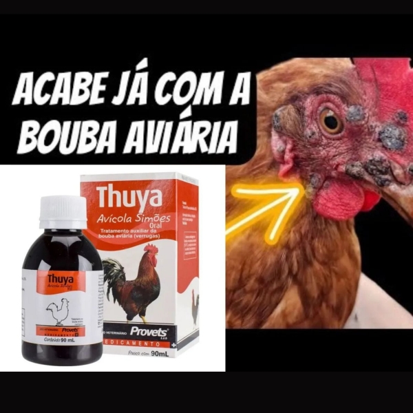 Kit Thuya Avícola Verugas Bolba Das Aves + Vitagold Vitamina