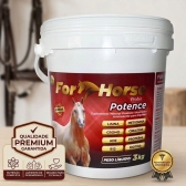 Suplemento Cavalo Massa Muscular For Horse Potence 3kg Top