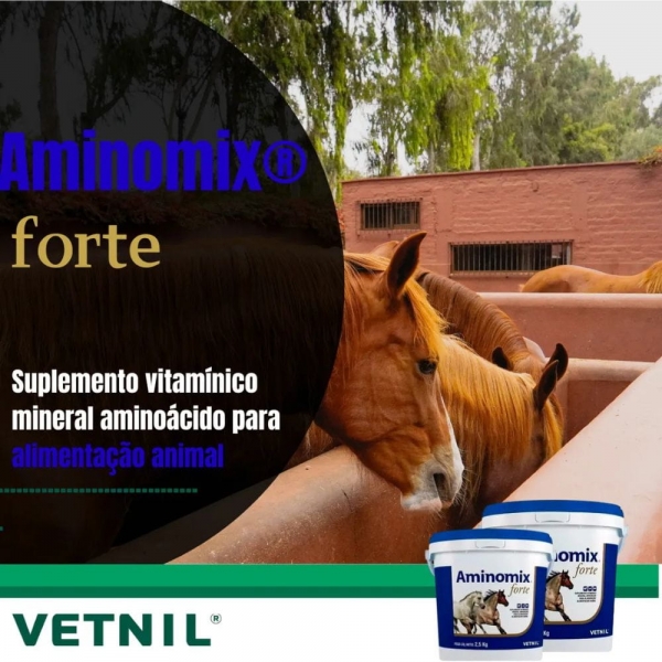 Aminomix Forte Vetnil - 2,5kg