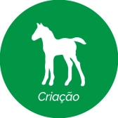Ração Vale Equinos Nutrivale Potro Melaçada Laminada 17