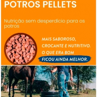 Corpore Potros Pellets 10 kg