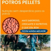 Corpore Potros Pellets 10 kg