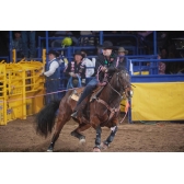 Corda de Laço Classic Rattler Triton Soft 30 S cabeça