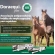 kit 2 Doraequi Plus 7g Pasta Vetnil