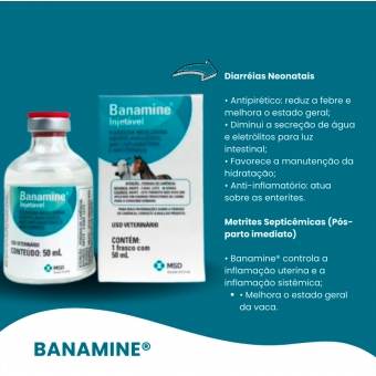 Banamine Injetável 50ml Msd