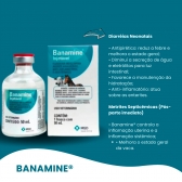 Banamine Injetável 50ml Msd