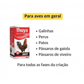 Thuya 90 ml