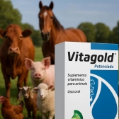 Vitagold Potenciado 50Ml Vitamina Aves Bovinos Equinos