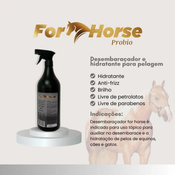 Kit Shampoo Coco Condicionador Desembaraçador For Horse 1 L