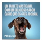 NexGard Antipulgas e Carrapatos para Cães de 4,1 a 10kg