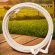 Laço Corda Chumbado de Campo 12M Branco