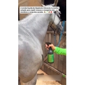 Kit Repelente Natural Contra Moscas For Horse 500ml E 5 L
