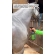 Kit Repelente Natural Contra Moscas For Horse 500ml E 5 L