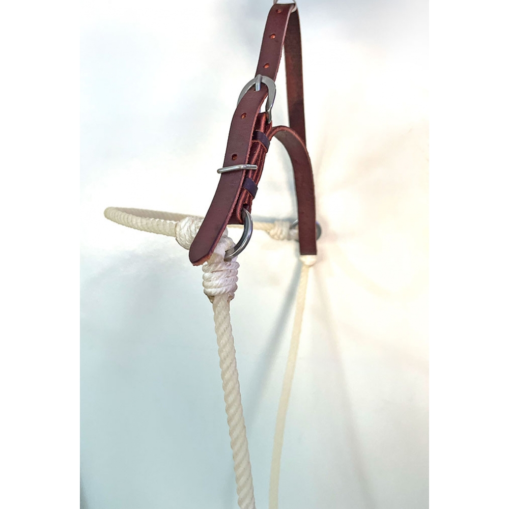 Gamarra de Testa em Couro e Peia