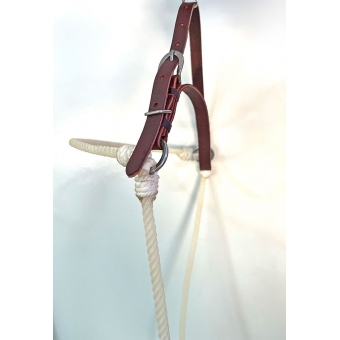 Gamarra de Testa em Couro e Peia