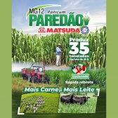 Sementes Para Pastagem Mg 12 Paredão Matsuda Pasto-silo 10kg